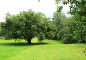 Photo de Etablissement Public Gerontologique De Tournan