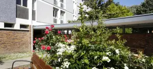 Photo de Residence Les Magnolias