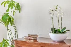 Photo de Résidence Tiers Temps