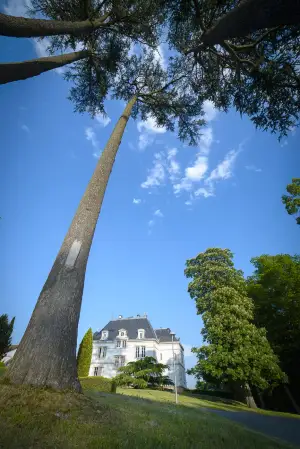 Photo de Château de Vernange