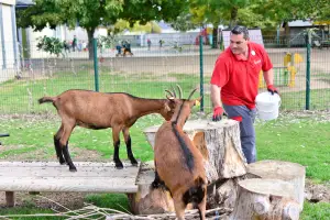 Photo de Blanche de Castille by Heurus
