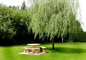 Photo de Residence Les Lys Du Hainaut