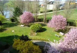 Photo de REPOTEL Savigny-le-Temple