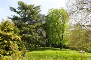 Photo de La Residence Les Roseraies