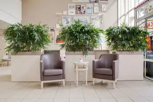 Photo de Les Jardins des Acacias