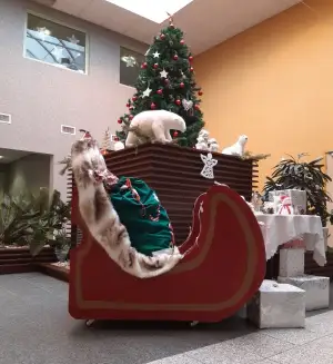 Photo de Les Jardins De Lievin