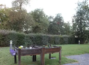 Photo de La Rose D'Alienor