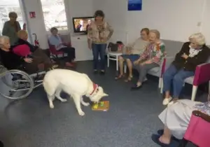 Photo de Residence Les Tuiles Vertes