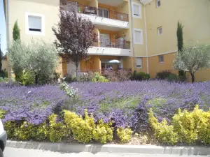 Photo de Résidence Services Les Seniors