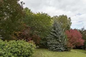 Photo de Residence Du Moulin De Domevre