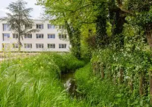 Photo de Centre Alzheimer Les Parenteles De Merignac