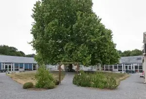 Photo de Residence Iaso