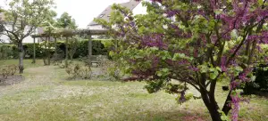 Photo de Résidence Yvonne Colas