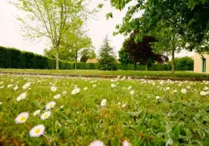 Photo de Résidence  Les Jonquilles