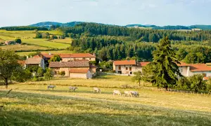 Photo de Maison d'accueil familial MonSenior de Confrancon
