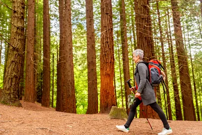 Seniors, comment lutter contre les risques liés à la sédentarité ?