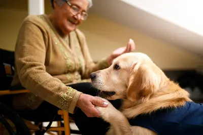 Qu'est-ce qu'un EHPAD Alzheimer avec unité protégée Alzheimer ?