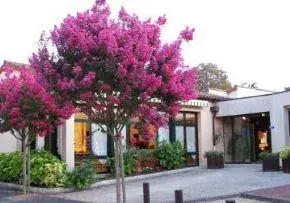 Photo principale de Maison De Retraite La Maisonnee St Martin - Résidence Services Seniors