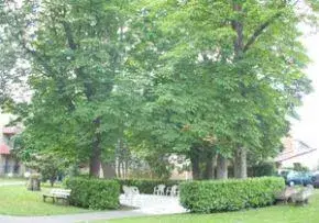 Photo principale de Centre D'Hebergement Temporaire Le Repos - Maison de retraite / EHPAD