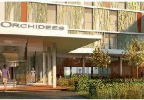 Photo principale de Centre Hospitalier De Carvin Ehpad Les Orchidees - Maison de retraite / EHPAD