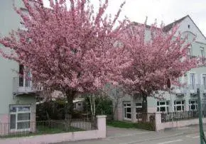 Photo principale de Maison De Retraite Sans Souci - Maison de retraite / EHPAD