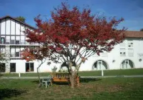 Photo principale de Fondation Luro - Maison de retraite / EHPAD