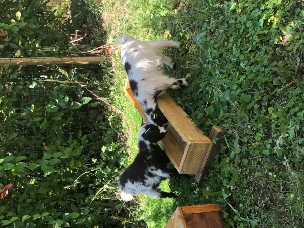 Photo principale de Korian La Détente - Maison de retraite / EHPAD