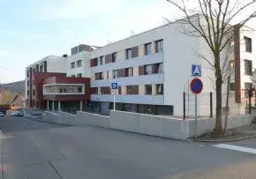 Photo de Oeuvre Schyrr - Maison de retraite / EHPAD