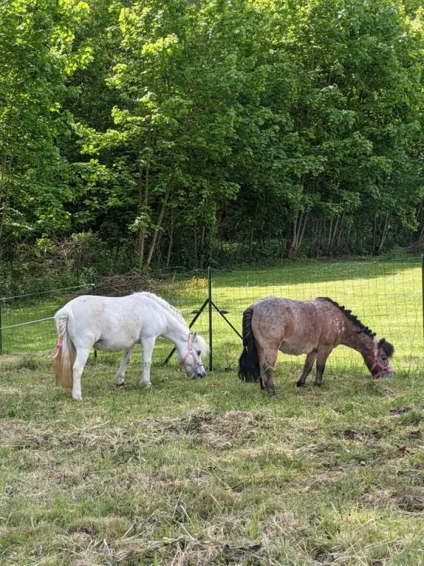 Photo de Residence Les Clos De St Martin D'Ablois - Maison de retraite / EHPAD
