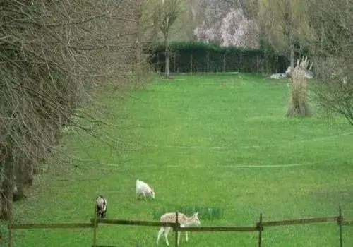 Photo de Chateau Du Plessis Picard - Maison de retraite / EHPAD