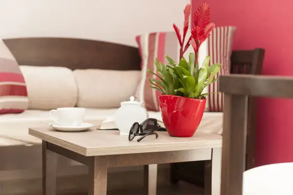 Photo de La Bastide des Vignes - Résidence Services Seniors