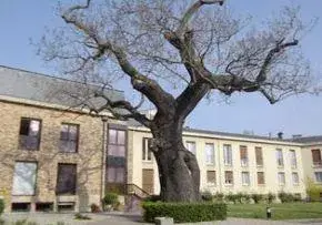 Photo de Maison De Retraite Le Sacre Coeur - Maison de retraite / EHPAD