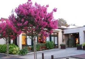 Maison De Retraite La Maisonnee St Martin - Résidence Services Seniors à Saint-Gervais-les-Trois-Clochers