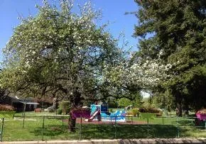 Maison De Retraite Fondation Eliza - Maison de retraite / EHPAD à Geispolsheim