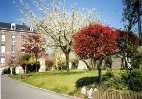 Ehpad Saint Joseph - Maison de retraite / EHPAD à Cagny