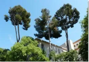 Maison De Retraite La Salette Montval - Maison de retraite / EHPAD à Marseille