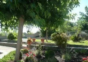 Maison De Retraite   Un Hameau Pour La Retraite - Maison de retraite / EHPAD à Eyragues