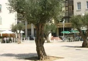 Résidence Bastide Bonnetières - Maison de retraite / EHPAD à Toulon