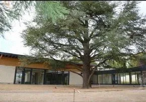 Ehpad Le Bocage - Maison de retraite / EHPAD à La Chapelle-de-Guinchay