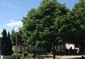 Marpa Lou Castelou - Résidence Services Seniors à Villefranche-d'Albigeois