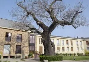 Maison De Retraite Le Sacre Coeur - Maison de retraite / EHPAD à Gentilly