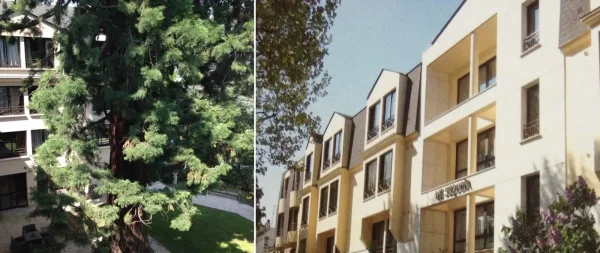 Résidence Le Sequoia - Maison de retraite / EHPAD à Châtenay-Malabry