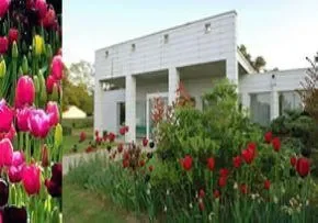 Residence Les Tulipes - Maison de retraite / EHPAD à La Tranche-sur-Mer