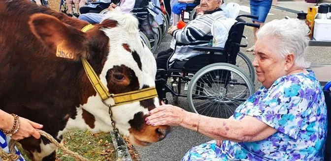 Oh la vache !