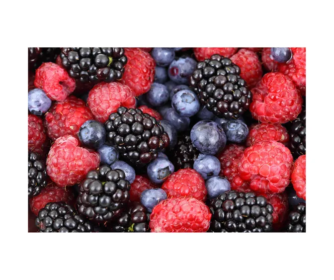 Les aliments anticancer