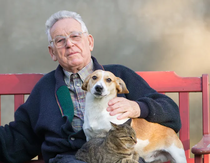 Adopter un animal au grand âge : les 7 questions à se poser